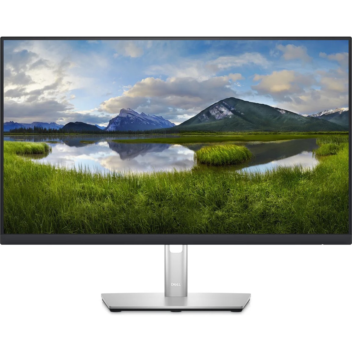 DELL P Series P2423DE computer monitor