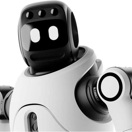 [Intelligente Interaktion – Kontaktieren Sie uns für 500 € Rabatt] AGIBOT X2