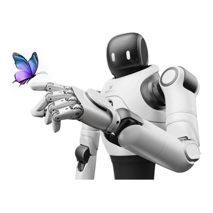 AGIBOT X2 Humanoider Roboter
