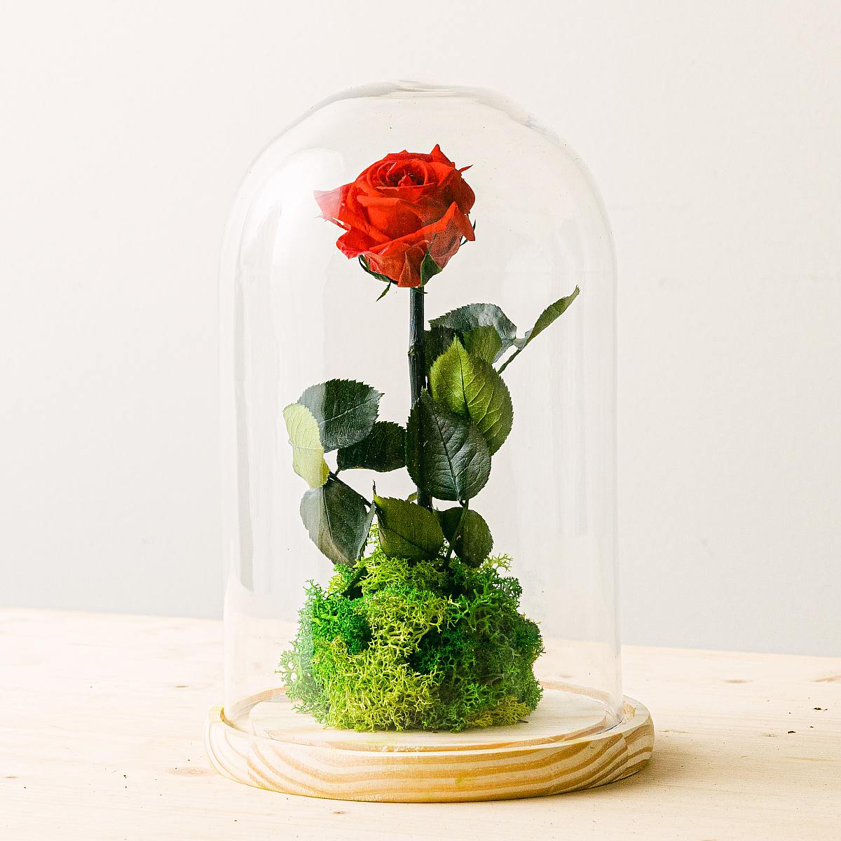 Be.Green Gartenrose – Valentin